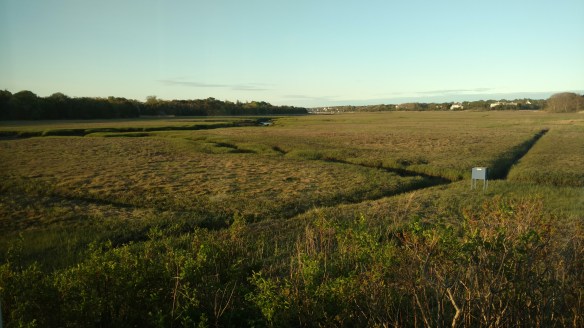 IMG_20160522_191707903